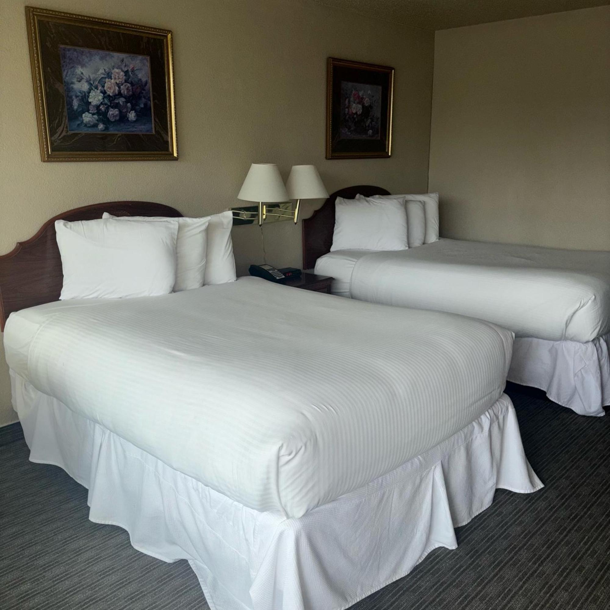 Unique Suites Hotel Τσάρλεστον Εξωτερικό φωτογραφία